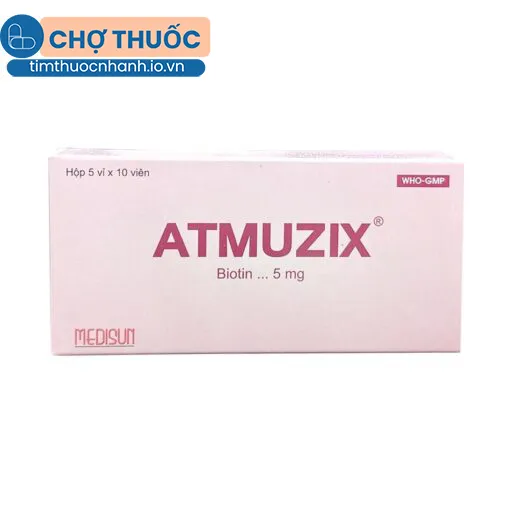 Atmuzix