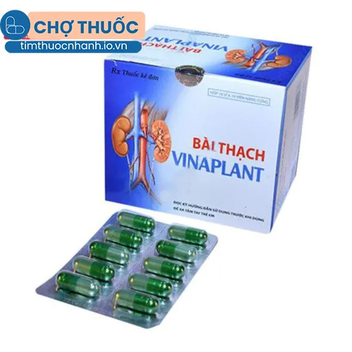 Bài Thạch Vinaplant