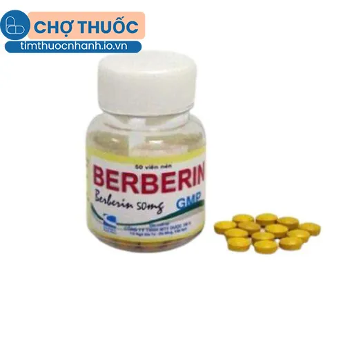 Berberin 50mg Đại Y (lọ 50 viên)