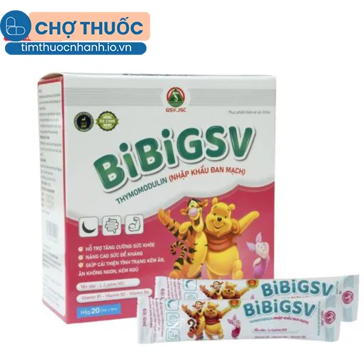 BibiGSV