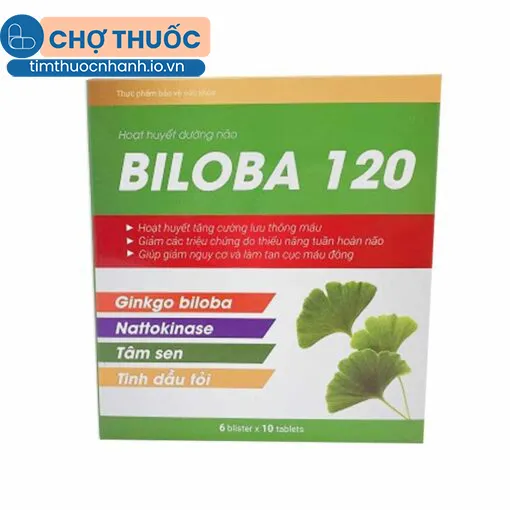 Biloba 120