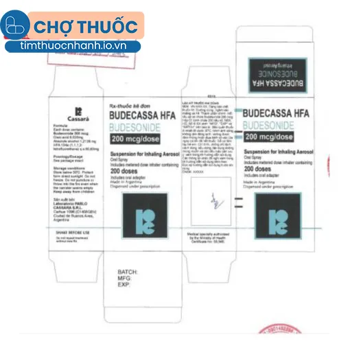 Budecassa HFA