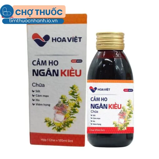 Cảm Ho Ngân Kiều (Chai 120ml)