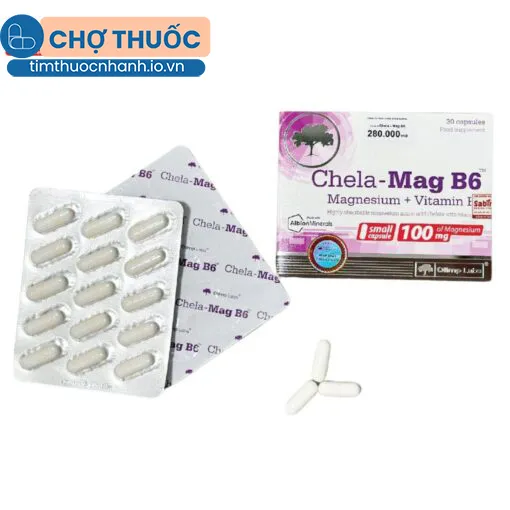 Chela-Mag B6