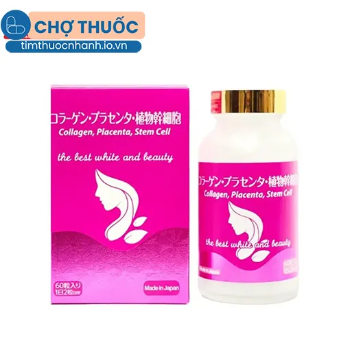Collagen, Placenta, Stem Cell