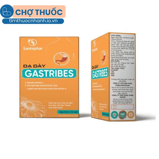 Dạ dày Gastribes