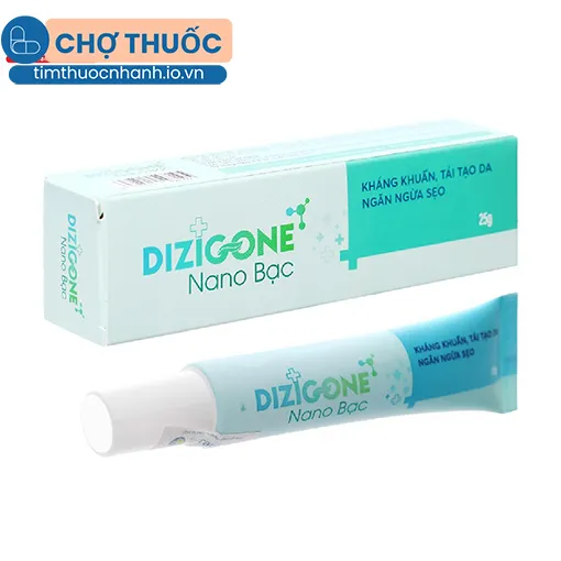 Dizigone Nano Bạc
