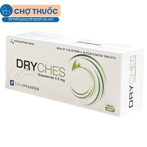 Dryches