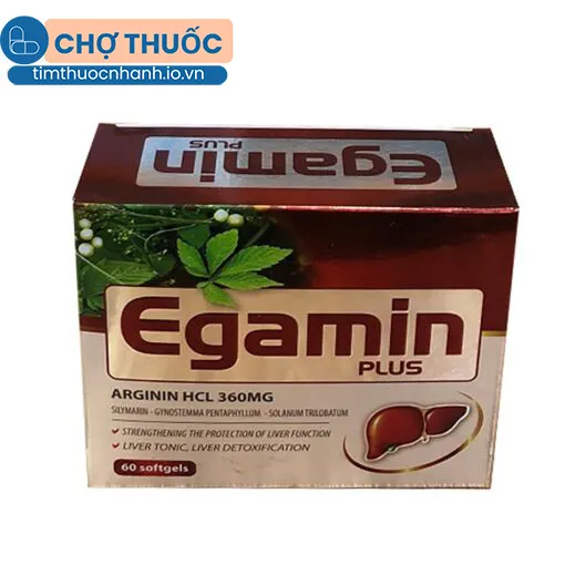 Egamin Plus Dược phẩm Thăng Long