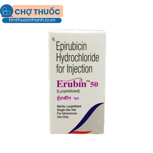 Erubin 50