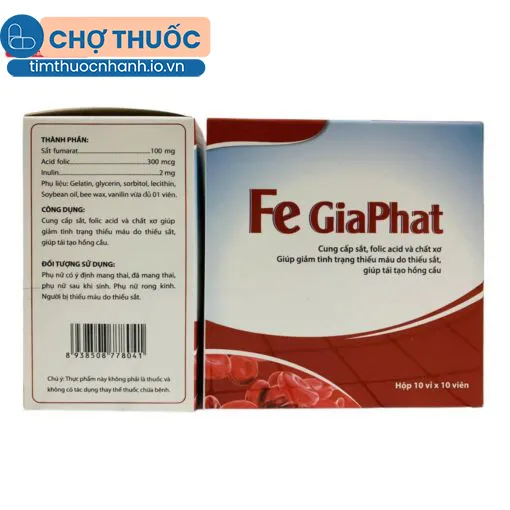 FE Gia Phat