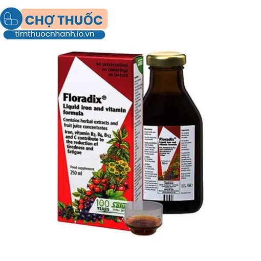 Floradix Liquid Iron And Vitamin Formula 250ml