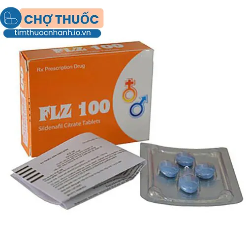 FLZ 100