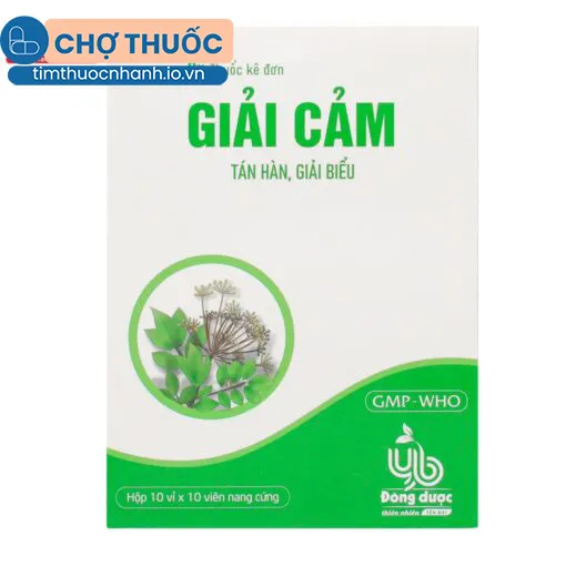 Giải Cảm Bepharco (Hộp 10 vỉ x 10 viên)