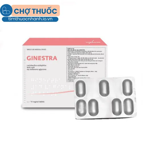 Ginestra