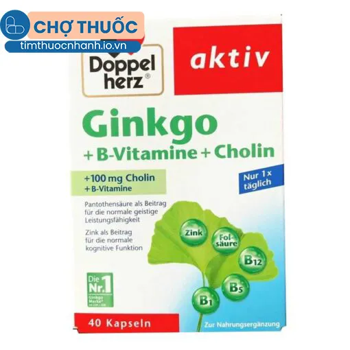 Ginkgo + B-Vitamine + Choline Doppelherz