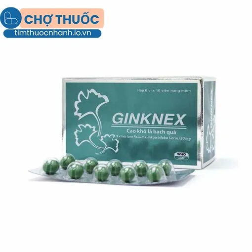 Ginknex