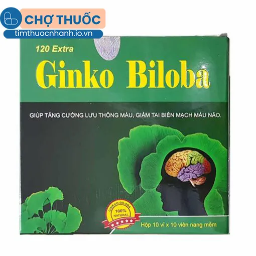 Ginko Biloba 120 Extra