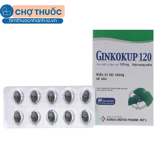 Ginkokup 120