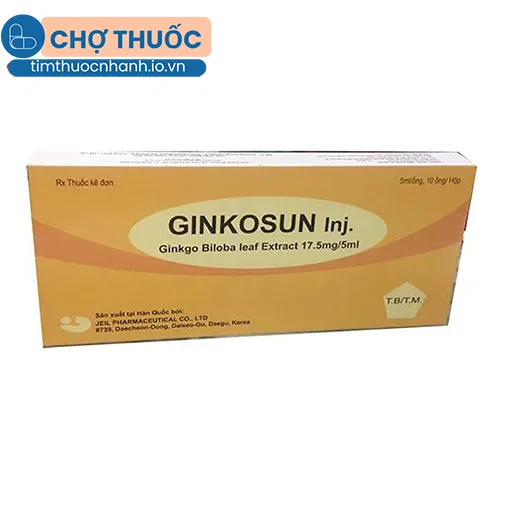 Ginkosun Inj.