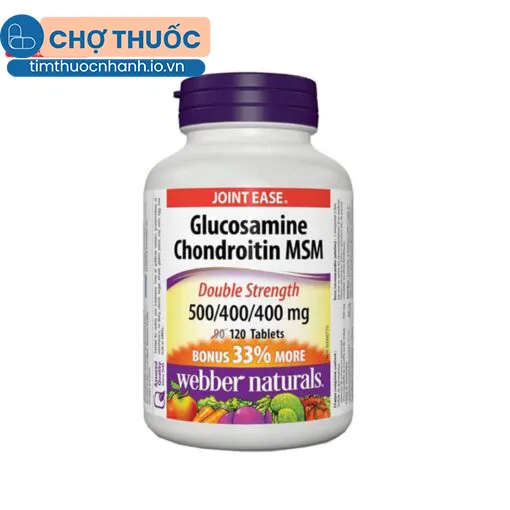 Glucosamine Chondroitin MSM Joint Ease