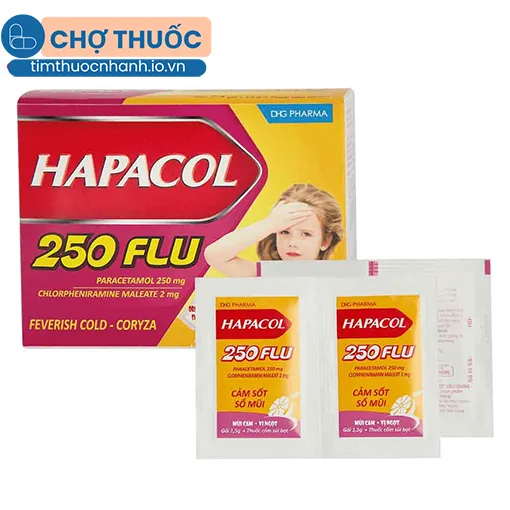 Hapacol 250 Flu