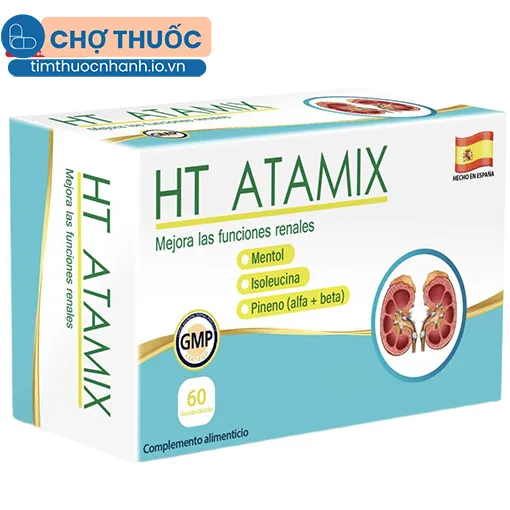 HT Atamix