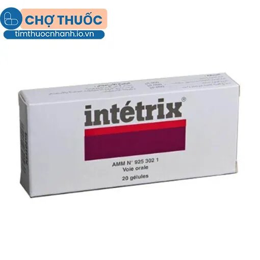 Intetrix