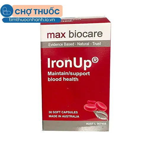 Iron Up max biocare