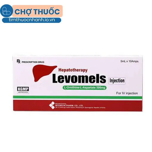 Levomels Injection