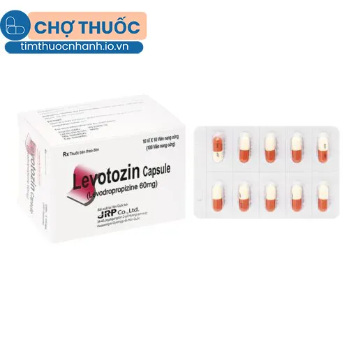 Levotozin Capsule