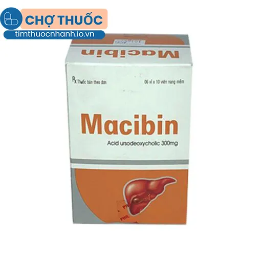 Macibin
