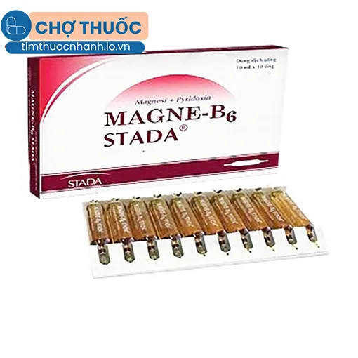 Magne-B6 STADA (ống)