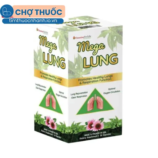 MegaLUNG