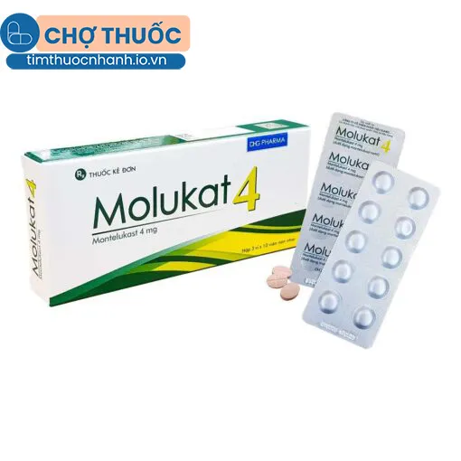 Molukat 4