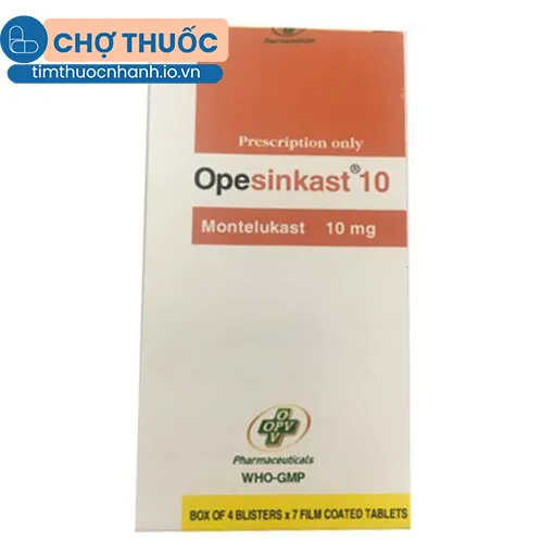 Opesinkast 10