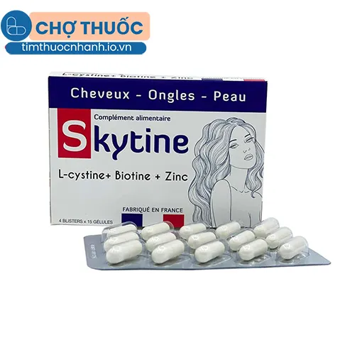 Skytine