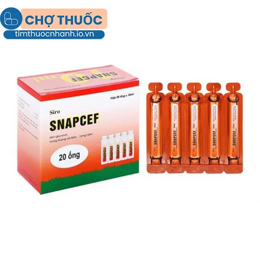 Snapcef (Hộp 20 ống)
