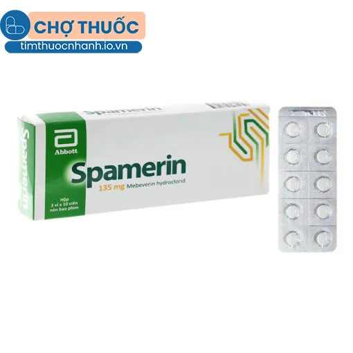 Spamerin