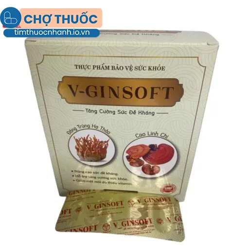 V-Ginsoft