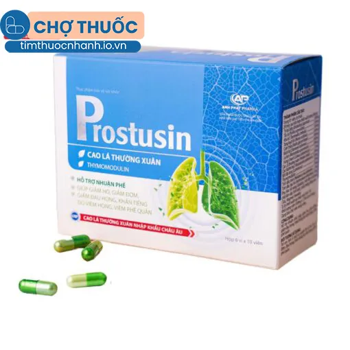 Viên Nhuận Phế Prostusin