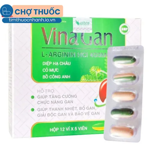Vina Gan Vshine